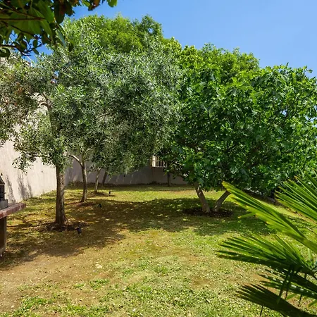 Apartment Zulijani House Helis B2
